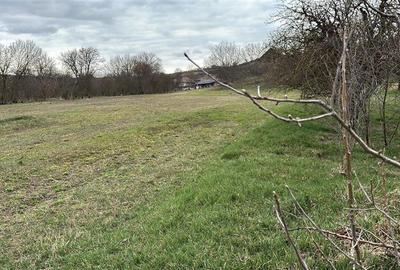 Spațiu comercial, de 450 mp, în Sântioana de Mureș - 25