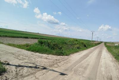 Teren agricol extravilan de 8000 mp, în Oneaga - 4