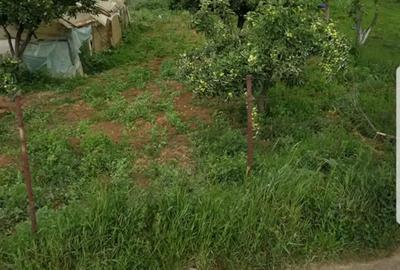 Teren de 2400 mp, în Oncea - 5