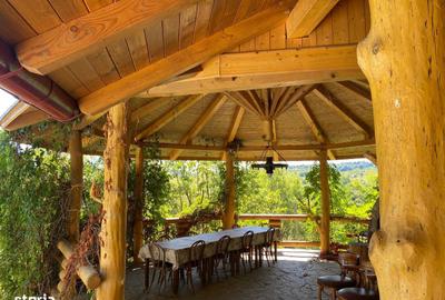 Casă cu 6 camere cu Teren 17000 Mp în Dumbrăvița - 12