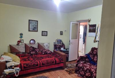 Casă individuală cu 3 camere cu Canalizare în Viile Noi - 11