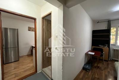 Apartament cu 2 camere, etajul 1, zona Sagului - 9