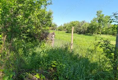 Vand casa in jude?ul Arad - 4