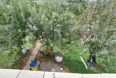 Casă cu 5 camere cu Teren 1000 Mp în Careiului - 4
