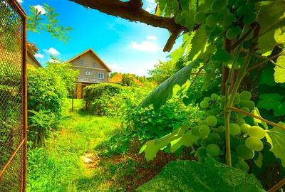 Imobil cu potential, constructie solida cu 2 apartamente,+demisol si garaj, Bras - 1