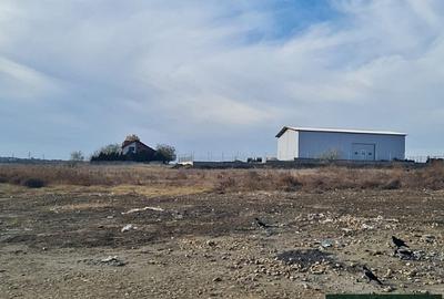 Carrefour, teren 2000mp - 4