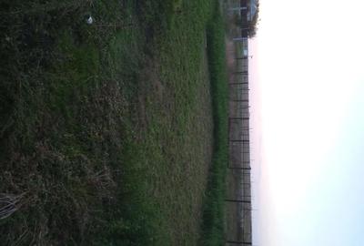 Casă cu 6 camere cu Teren 2200 Mp în Stăncuța - 4