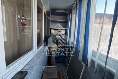 Apartament decomandat cu 3 camere, zona Dambovita, etaj intermediar - 11