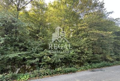 Teren extravilan de 730 mp, în Central - 4