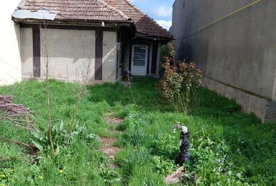 Casă cu 3 camere în Borcea