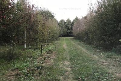 Teren Construcții intravilan de 500 mp, în Central - 7