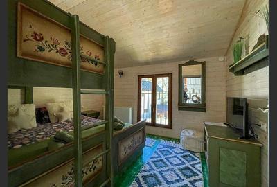 Casa de vacanta superba in Crivaia - 16