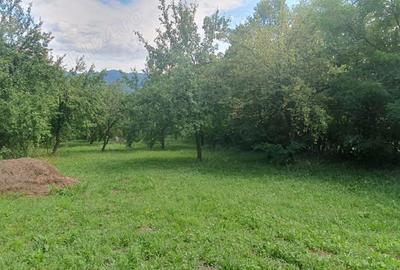 Teren de 4000 mp, în Izvoarele