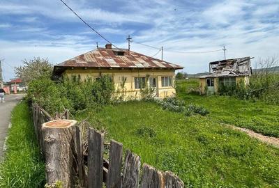 Casă cu 3 camere în Central
