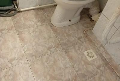 Garsoniera confort 3 micu?a dragu?a cocheta discreta zona AVlaicu Fortuna bloc A- - 1