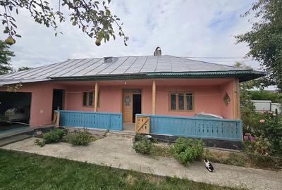 Casă cu Teren 2800 Mp în Bolotești - 8