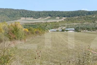 Teren Intravilan de vanzare, 4.900 mp, zona parcului Industr - 1