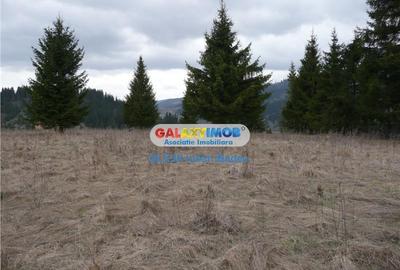 Teren pentru Complex Turistic - 12 730 mp  - Vatra Dornei - 3