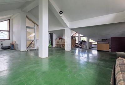 Vanzare vila P+1+Pod mansardat pe malul lacului Mostistea Sinesti - 20