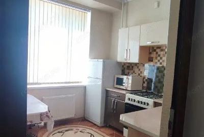 Garsonieră în Costin Georgian