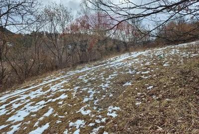 Teren de 1577 mp, în Schei - 2