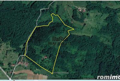 Teren de 69237 mp, în Criș - 5