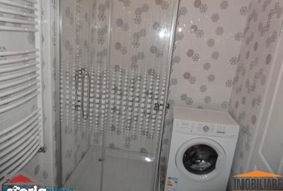 Apartament cu 2 camere, mobilat în Șega - 3