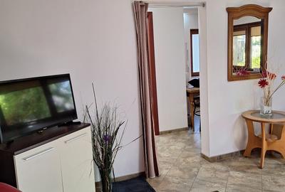 Garsoniera bd Decebal/Piata Alba Iulia Garsoniera bd Decebal/Piata Alba Iulia - 4