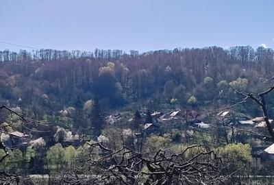 Casă cu 3 camere cu Teren 2800 Mp în Central - 9