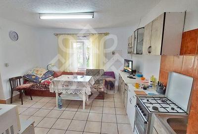 Casa cu teren in Tinca - 10