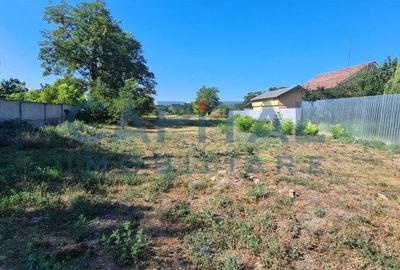 Teren Intravilan 6017 mp pentru Constructii Case Individuale, Duplexuri, Blocuri - 3