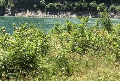 Teren extravilan de 2834 mp, în Râu de Mori - 3