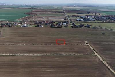 RECO Teren intravilan in LIvada de Bihor - 1