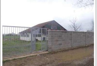 Spațiu industrial, de 91,400 mp, în Pădureni (Jebel) - 3