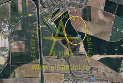 Cernica - Balaceanca 10 000 mp, Intravilan,deschidere 83 m la sosea asfaltata. - 2