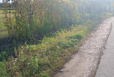 Teren intravilan Biharia - 2