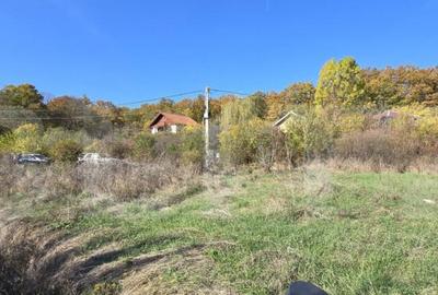 Oportunitate! Teren intravilan 1200 mp, Satul de Vacanta Pod - 4