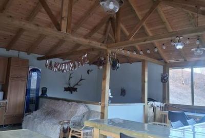 Casă cu 1 camere cu Teren 12000 Mp în Central - 5