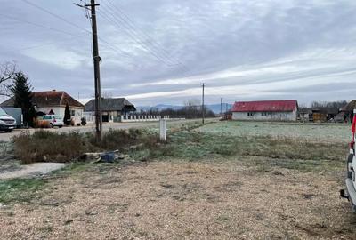 Casă cu 4 camere în Seini - 8