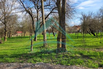 EXCLUSIVITATE! Teren intravilan de vanzare in zona linistita, sat Vlaha! - 5