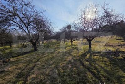 Teren în Feleacu - 1