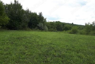 Teren de 3600 mp, în Valea Călugărească - 1