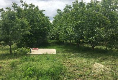 Casa de vanzare la cheie Comuna Traian, Jud. Teleorman Casa de vanzare la cheie Comuna Traian, Jud. Teleorman - 4