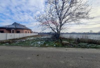 Teren intravilan 1,564mp in Gologanu - 1