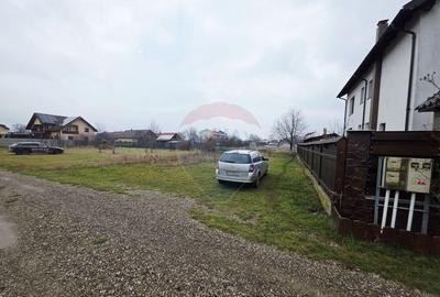 Teren 519mp Dumbrava Rosie / Strada CRANGULUI - 17