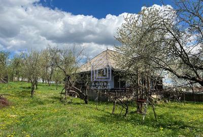 48 ari teren , cu casa batraneasca, Antoceni, Forasti, Sucea - 9