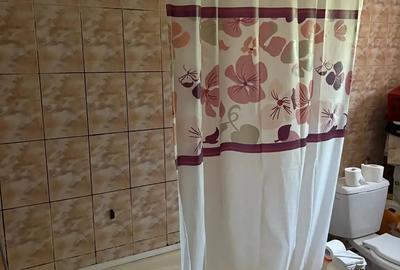 Vila S+P+E+M, la 3 km de Calimanesti - 3