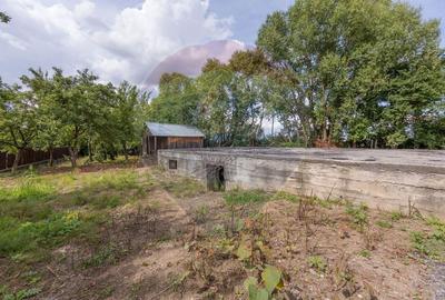 Teren intravilan cu fundatie, proiect de casa, Avram Iancu Sacele - 6