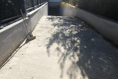 SPAȚIU DEMISOL 203 MP +65 MP ALEE(ACCES PIETONAL+AUTO) - 11