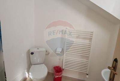 Hotel/Pensiune, de 180 mp, în Baia de Fier - 21